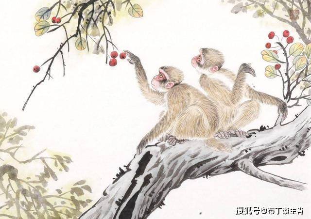 十个指头春秋生肖飞提更高望更远是什么生肖的全面释义、解释与落实、专家解答解释落实