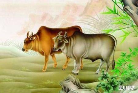 十个指头春秋生肖飞提更高望更远是什么生肖的全面释义、解释与落实、专家解答解释落实